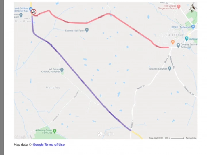 Frog Lane