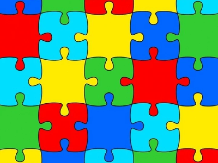 Jigsaw pieces