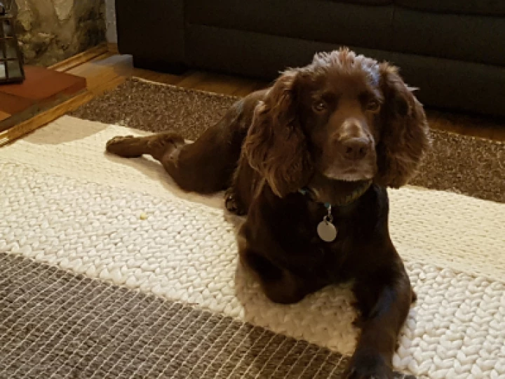 Monty