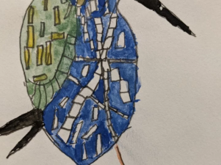 thumbnail_PXL_20210204_171101503