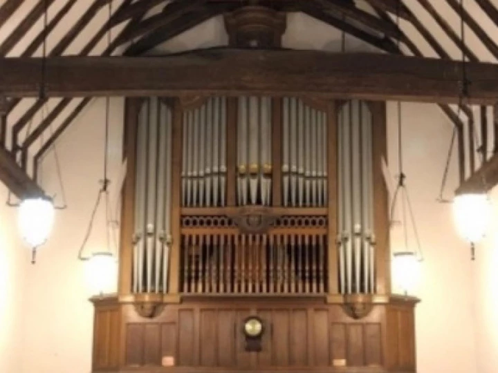 organ