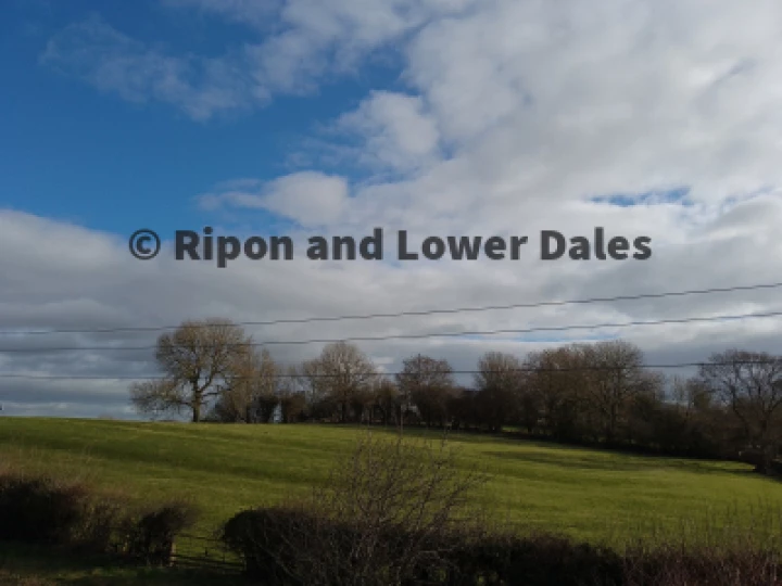 Field and Sky
