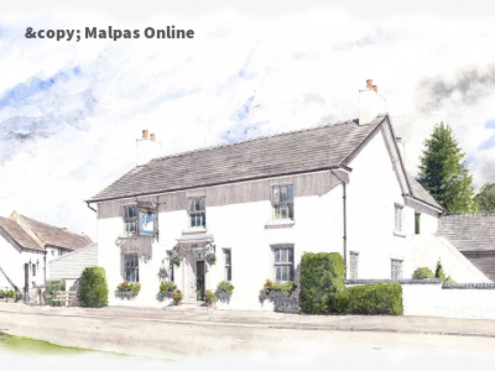 The Swan at Marbury Ilustration
