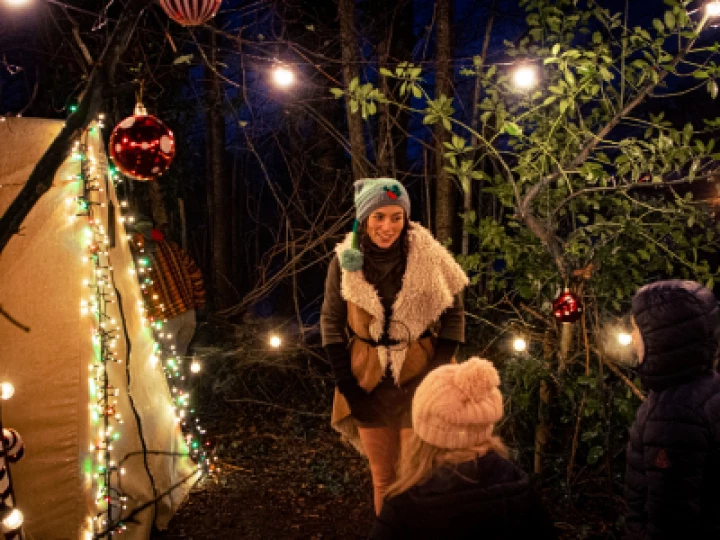 Alderford Santa (1)
