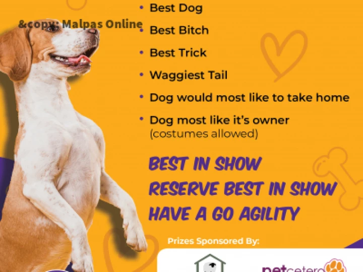 Dog Show