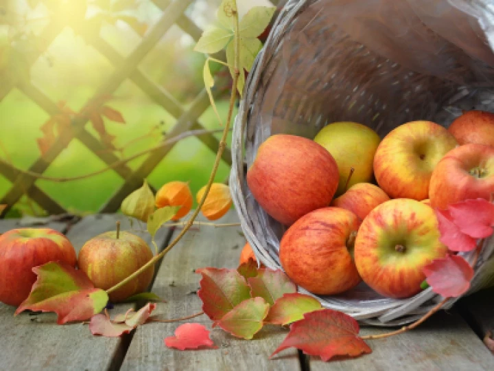 apples-g632f45aaf_1280