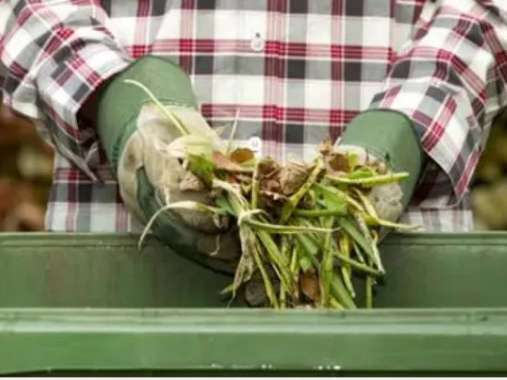 Green Bins