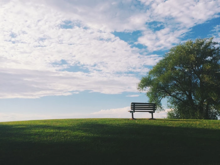 Empty bench on a hill