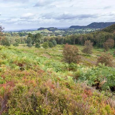 Bickerton Hill in August 12