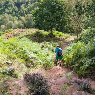 Bickerton Hill in August 28