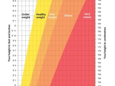 Weight Height Chart