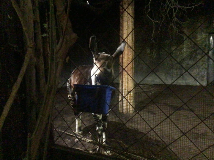 Zoo