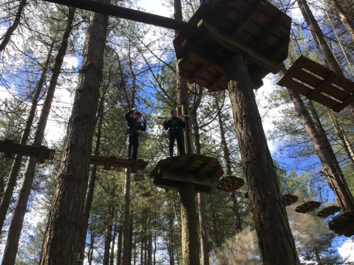 Go Ape