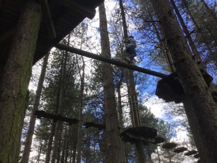 Go Ape