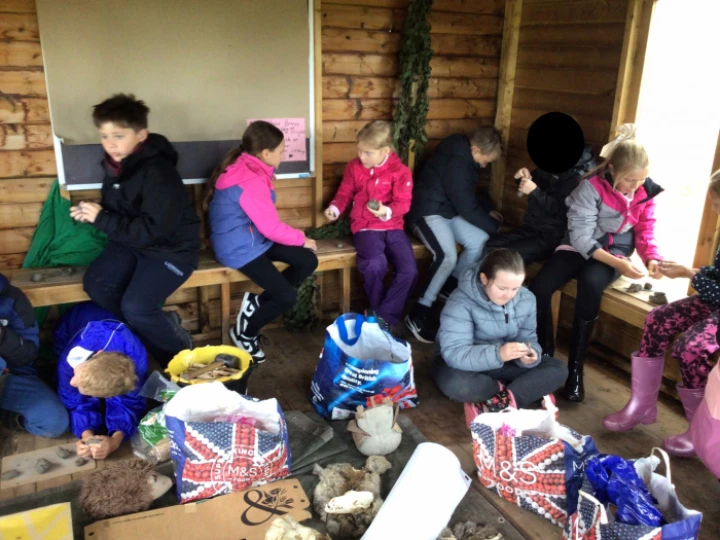 Forest School
