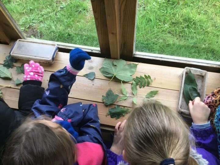 Forest school