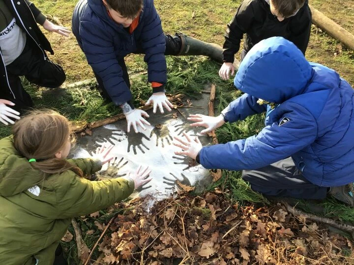 Forest Schools