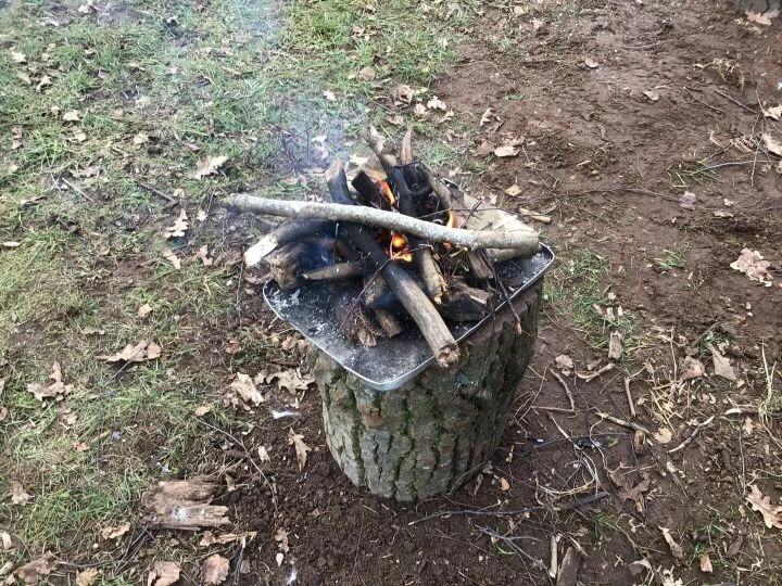 Forest Schools