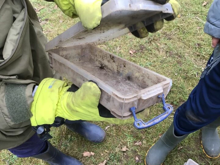 Forest schools