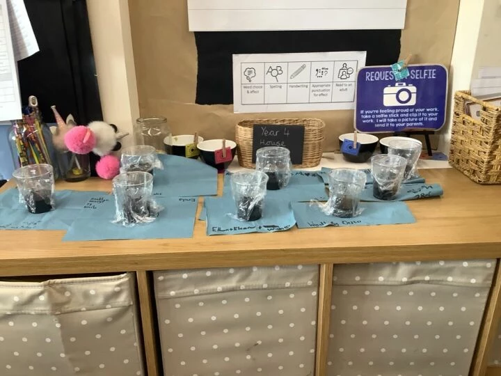Science week