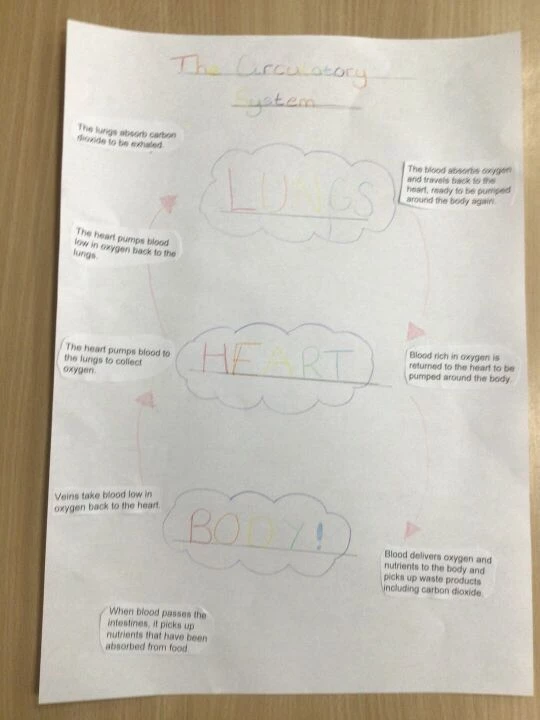 Science