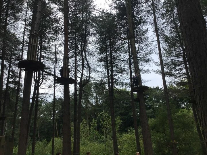 Go Ape