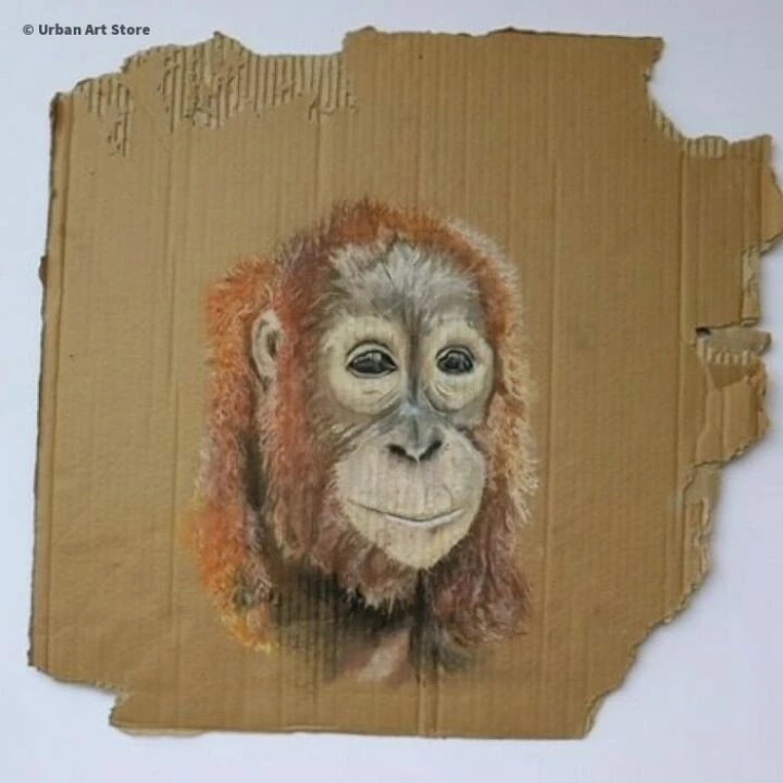 orangutan