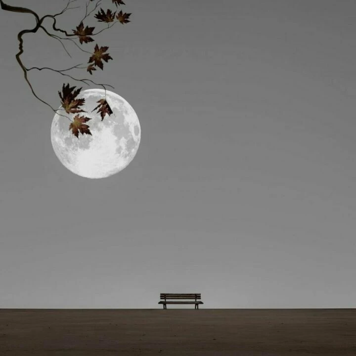 day dream