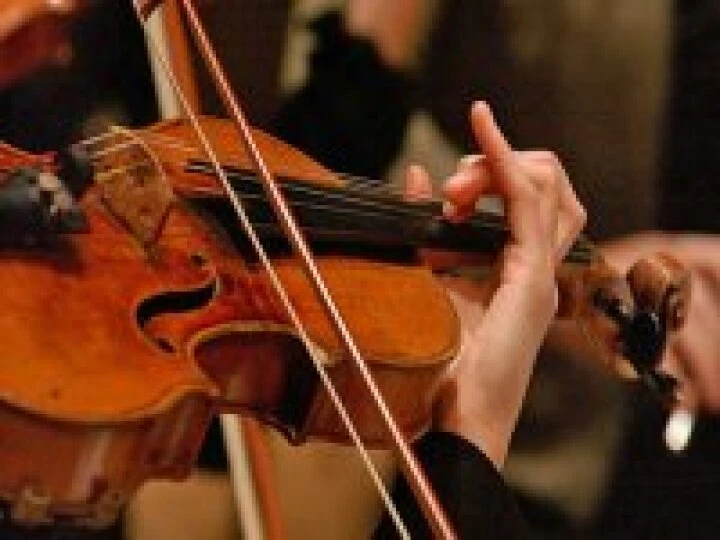 Violin Closeup 1