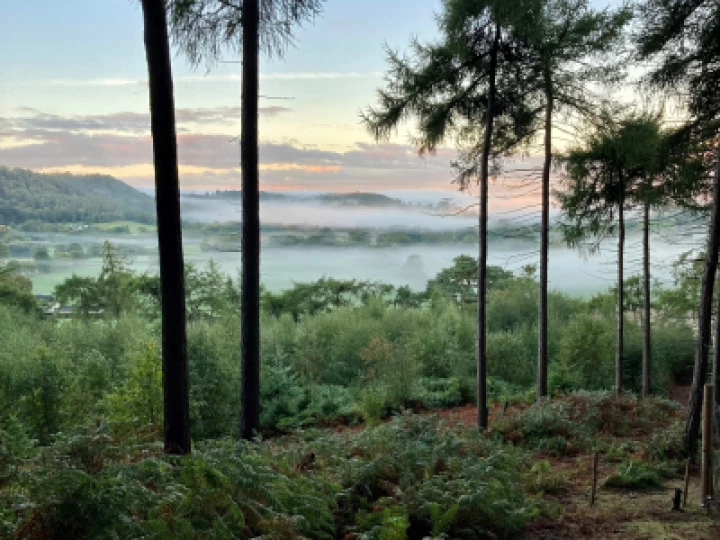 bickerton in mist