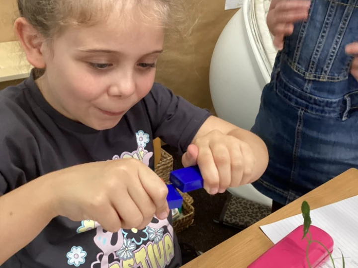 Y3 Science Forces2