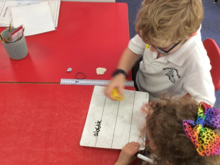 Y1 Science 1
