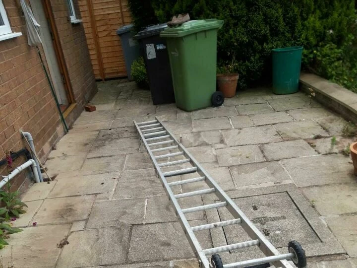 Cat Ladder