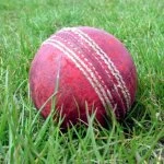 cricket, cricket ball, sport