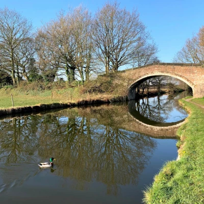 Canal at Thomason's Bridge