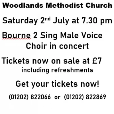 Woodlands Concert (2)