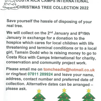 Christmas Tree Collection Offer 2022 PhotoScan