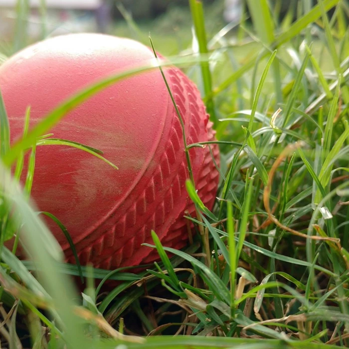 Cricket, ball, grass
