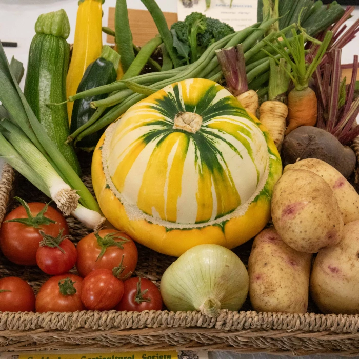 HORTICULTURAL SHOW 2024 / Lots of photographs here ...