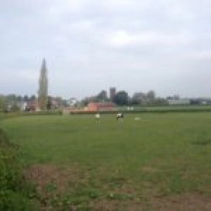 fields