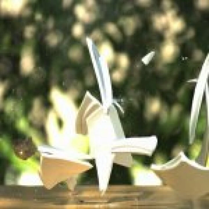 Crockery Smash