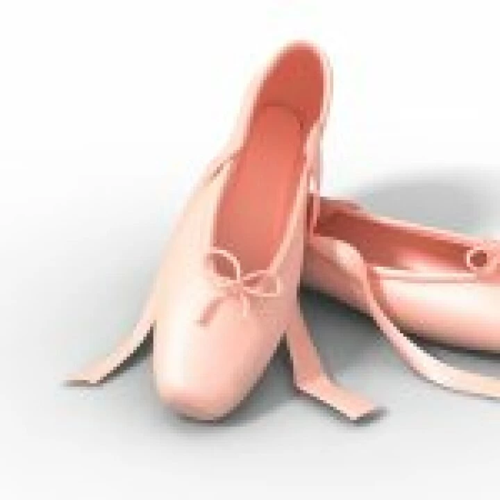 ballet shoes 2