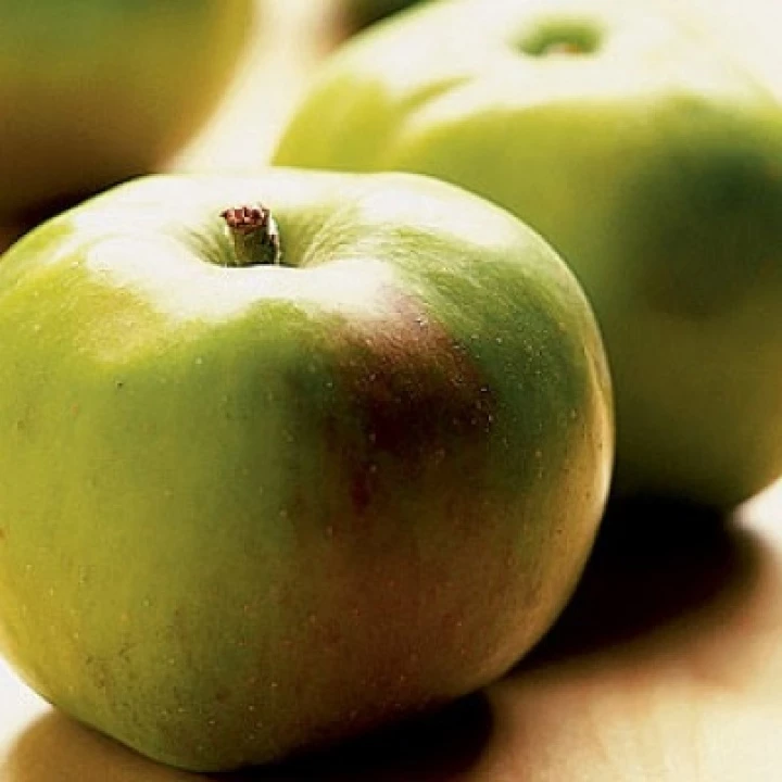 bramley_apple_gfg