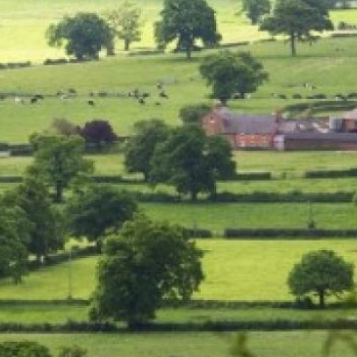 Cheshire-farmland