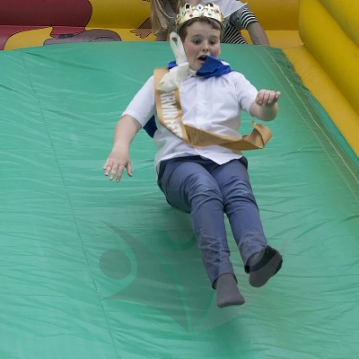 King Down Slide