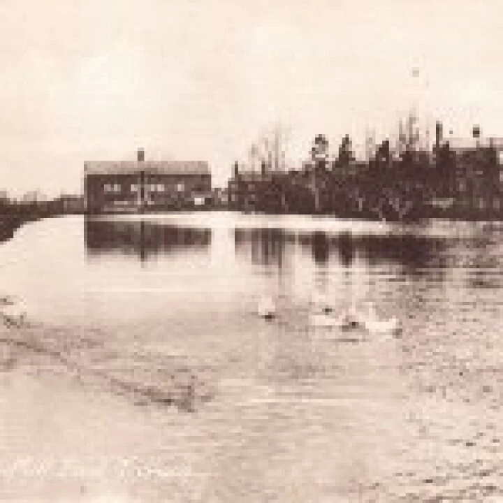 Tarvin Mill & Pool
