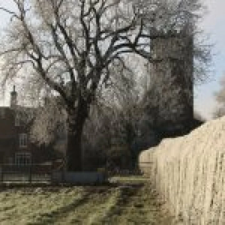 St Andrews in frost