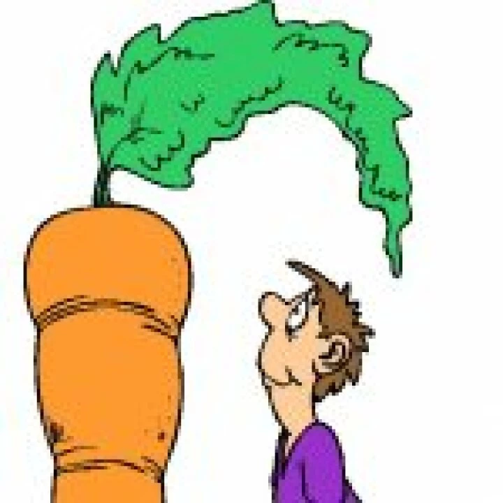 carrot