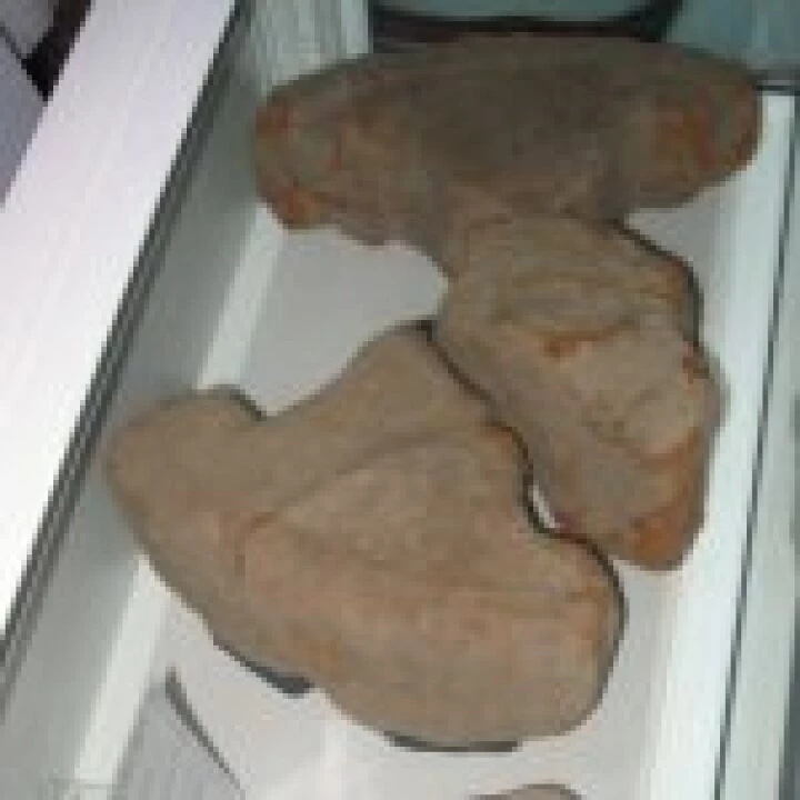 Saxon Cross in St Andrew's display