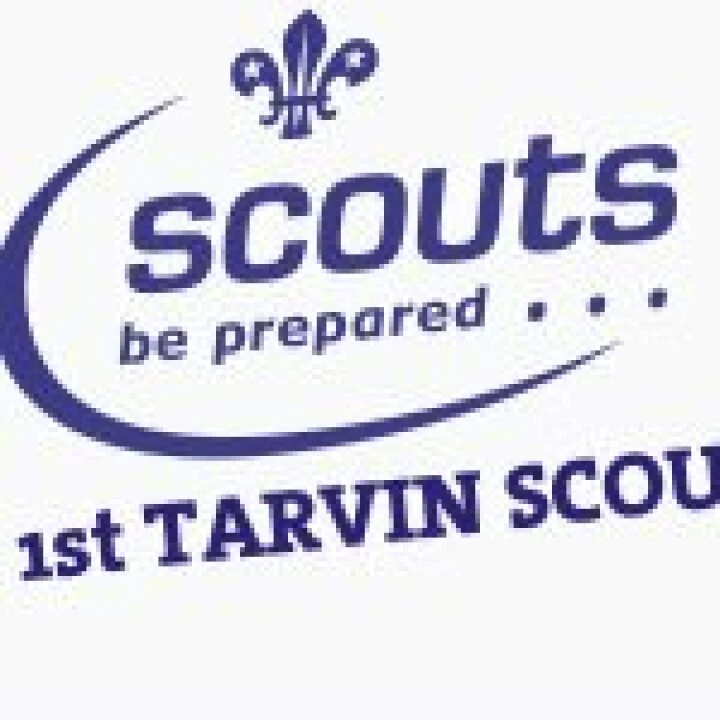 1sttarvinlogo